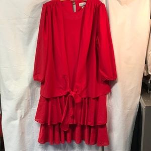 Vintage Rosa Ann red dress Sz 20WP